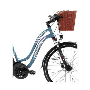 Pilsētas velosipēds Bisan 28 CTX6300 (PR10010317) pelēks/rozā (18)