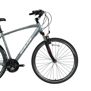 Tūrisma velosipēds Bisan 28 TRX8100 City g.pelēks/zaļš (M)