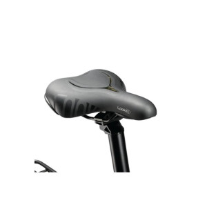 Elektriskais velosipēds RKS 20 La Rose Ultra Nardo Grey